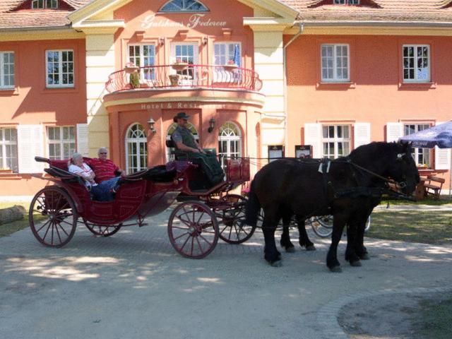 Altes Gutshaus-Federow Hotel Luaran gambar